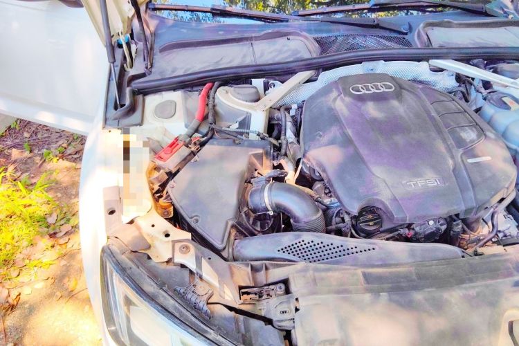 Used Audi A4L 2019 40 TFSI Fashion Edition China VI Emission Standard Engine Bay Right