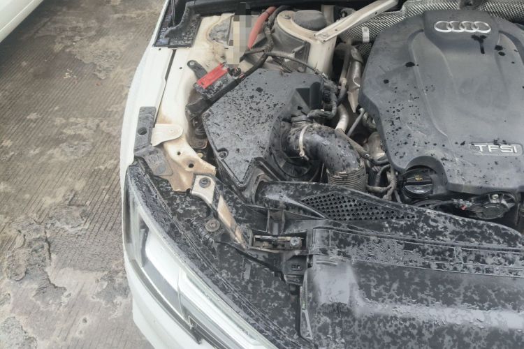 Used Audi A4L 2019 40 TFSI Ambition China VI Engine Bay Right