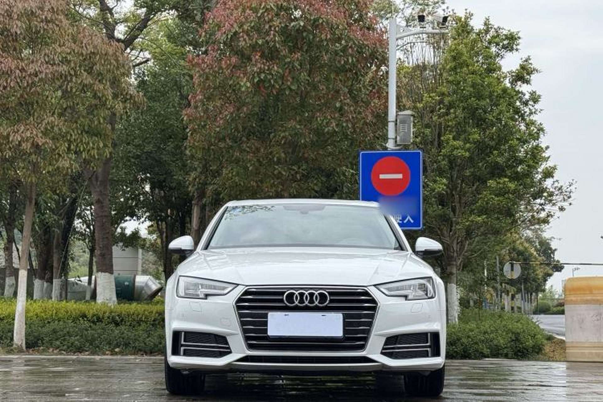 Used Audi A4L 2019 40 TFSI Ambition China VI Exterior 1