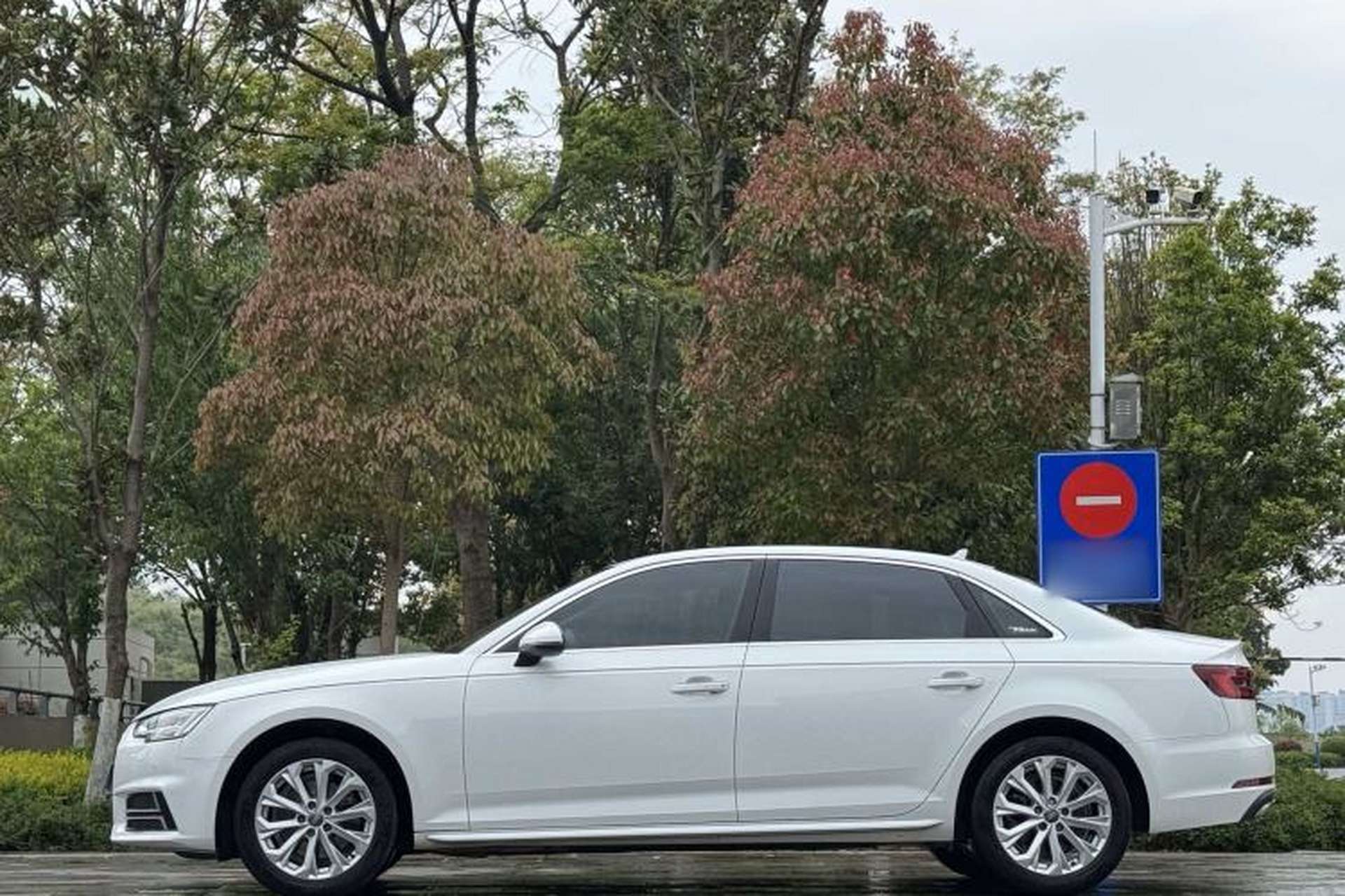 Used Audi A4L 2019 40 TFSI Ambition China VI Exterior 6
