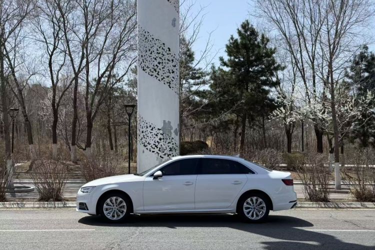 Used Audi A4L 2019 40 TFSI Ambition China VI Exterior 8