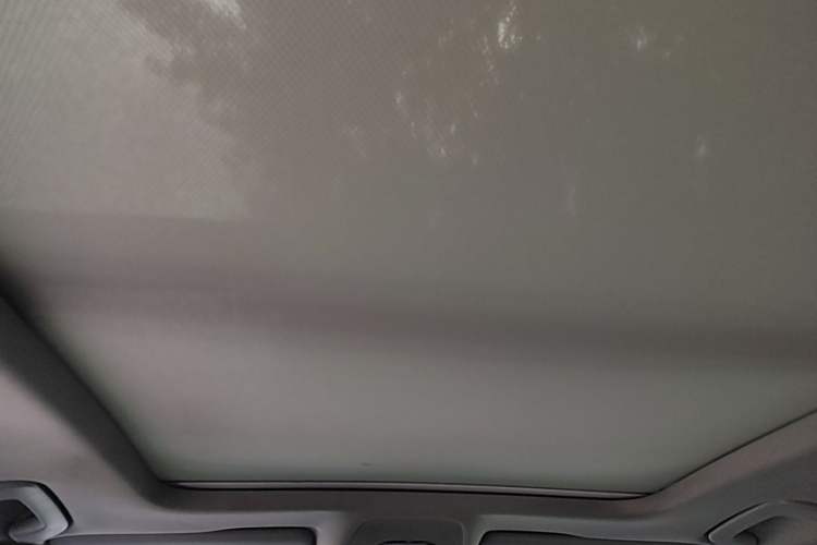 Used Audi A4L 2019 40 TFSI Ambition China VI Headliner