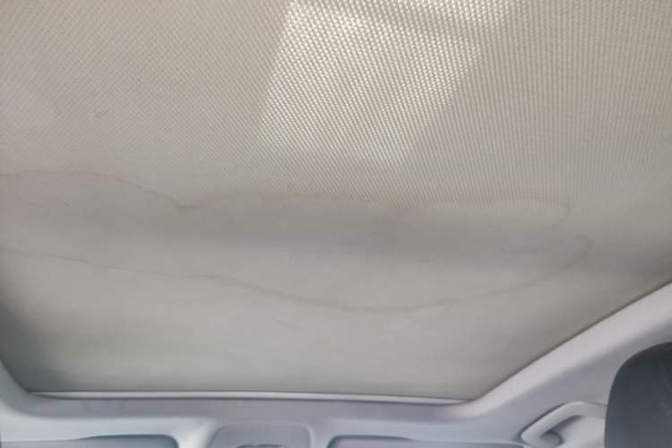 Used Audi A4L 2019 40 TFSI Fashion Version China V Headliner