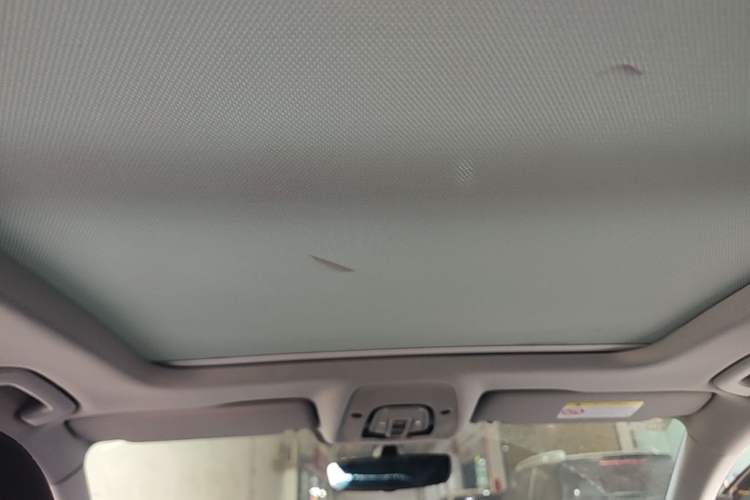 Used Audi A4L 2019 40 TFSI Ambition China VI Headliner