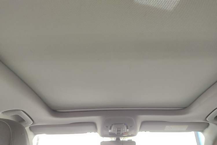 Used Audi A4L 2019 40 TFSI Fashion Version China V Headliner