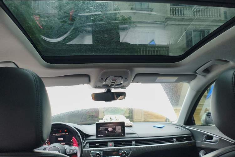 Used Audi A4L 2019 40 TFSI Fashion Version China V Headliner
