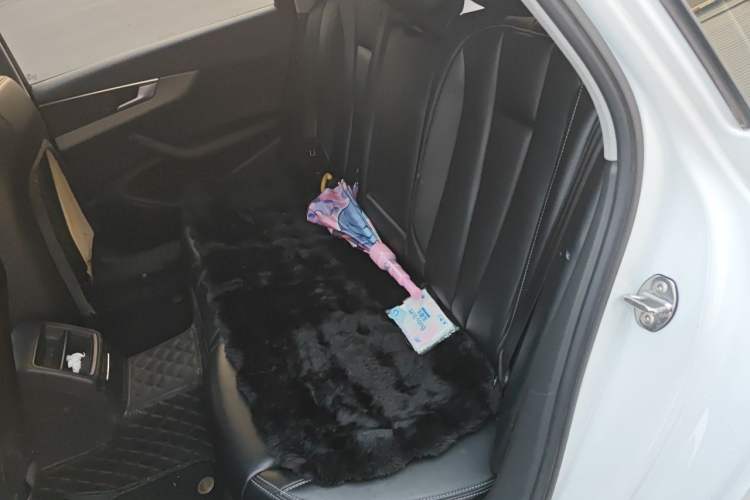 Used Audi A4L 2019 35 TFSI Ambition China V Left Rear Seat