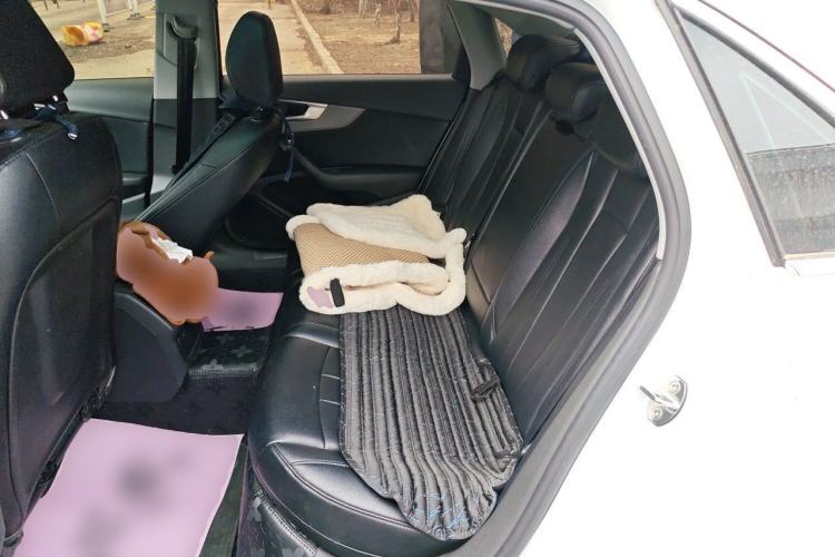 Used Audi A4L 2019 40 TFSI Ambition Version China V Left Rear Seat