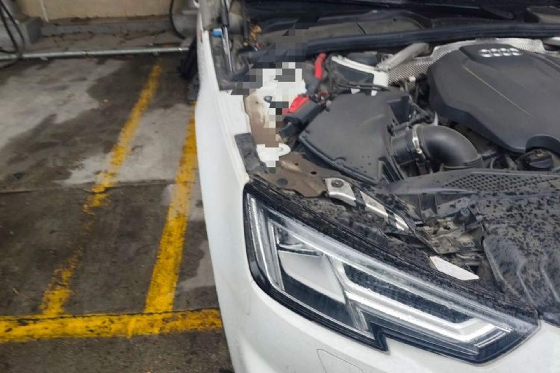 Used Audi A4L 2019 40 TFSI Ambition China VI Right Front Headlight
