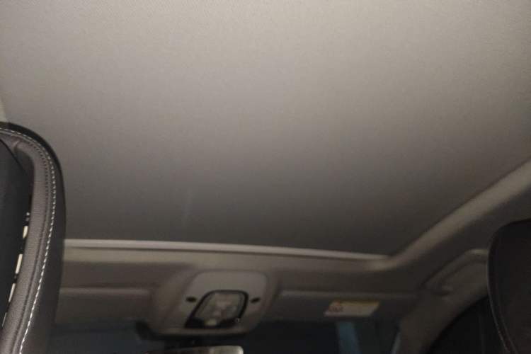 Used Audi A4L 2020 40 TFSI Fashion Dynamic Model Headliner