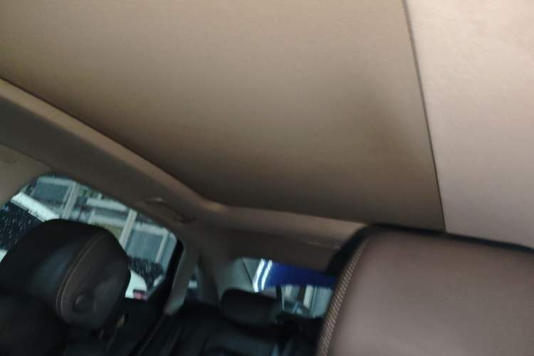 Used Audi A4L 2020 40 TFSI Fashion Dynamic Model Headliner