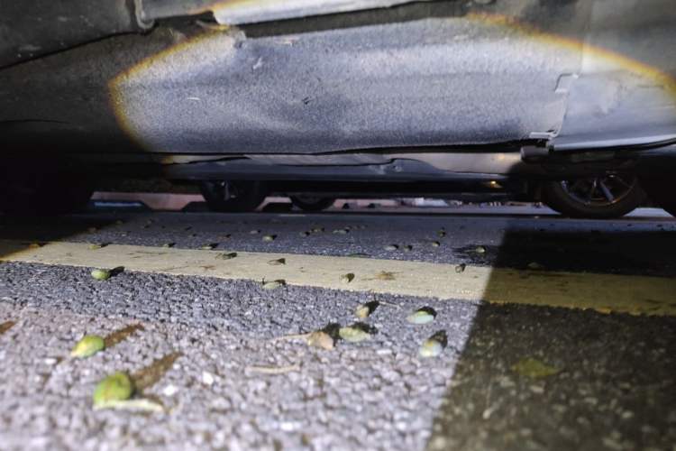 Used Audi A4L 2020 40 TFSI Luxury Dynamic Model Chassis Front Right