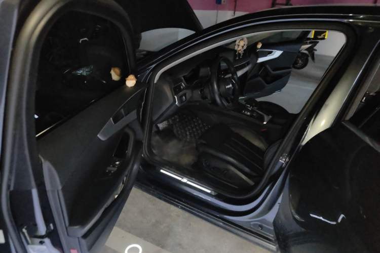 Used Audi A4L 2020 40 TFSI Fashion Dynamic Model Driver Seat