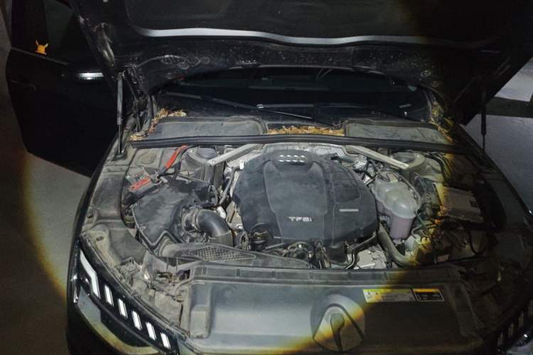 Used Audi A4L 2020 40 TFSI Fashion Dynamic Model Engine Bay Right