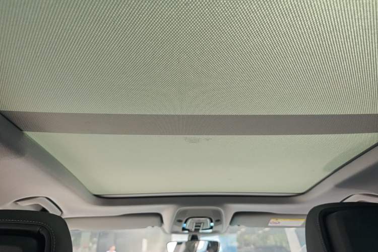 Used Audi A4L 2020 40 TFSI Fashion Dynamic Model Headliner