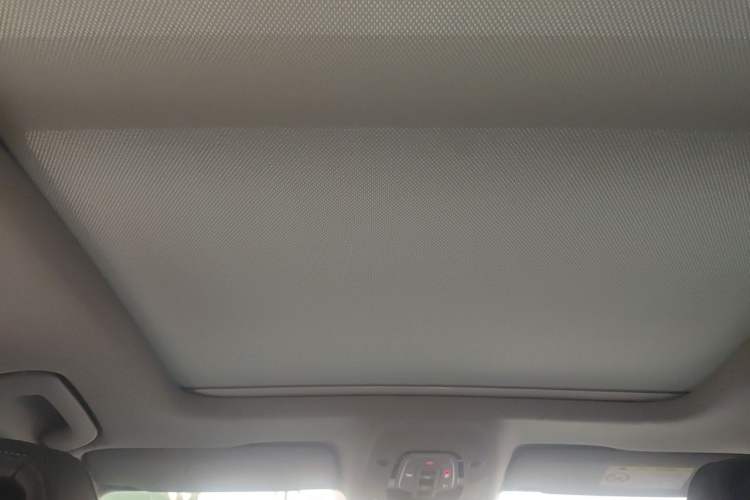 Used Audi A4L 2020 40 TFSI Luxury Dynamic Model Headliner