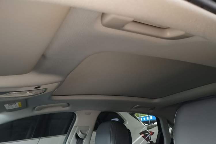 Used Audi A4L 2020 40 TFSI quattro Luxury Dynamic Model Headliner