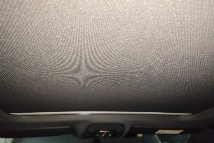 Used Audi A4L 2020 40 TFSI Fashion Dynamic Model Headliner