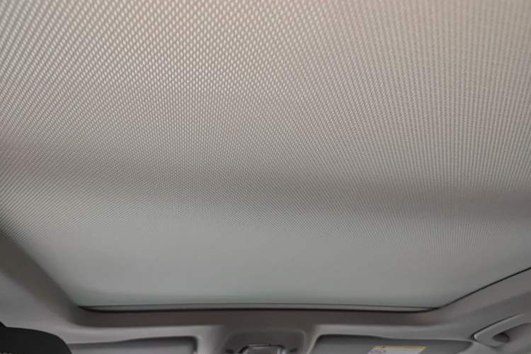 Used Audi A4L 2020 40 TFSI Fashion Dynamic Model Headliner