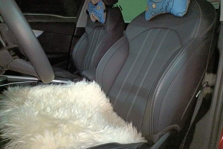 Used Audi A4L 2020 40 TFSI Fashion Dynamic Model Left Front Seat
