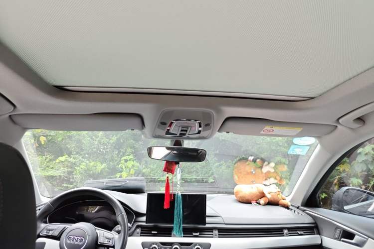 Used Audi A4L 2020 40 TFSI Fashion Dynamic Model Headliner