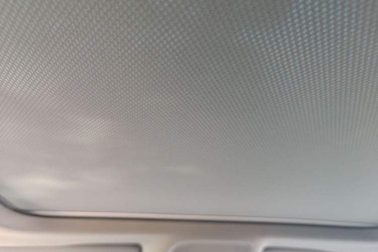 Used Audi A4L 2020 40 TFSI Fashion Dynamic Model Headliner