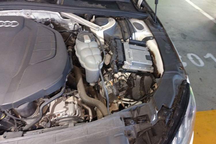 Used Audi A4L 2020 40 TFSI Fashionable and Elegant Model Engine Bay Left
