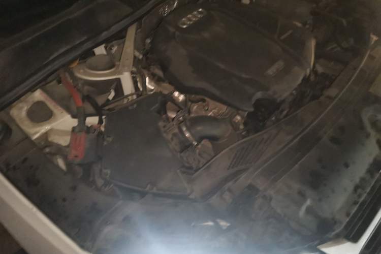 Used Audi A4L 2020 40 TFSI Fashion Dynamic Model Engine Bay Left