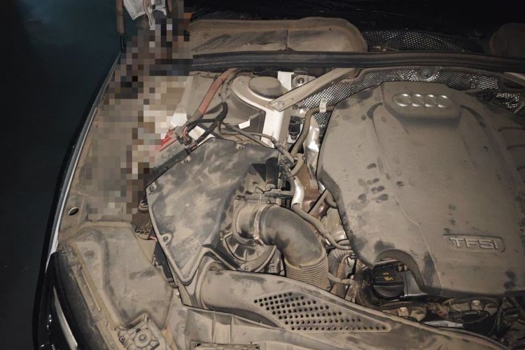 Used Audi A4L 2020 40 TFSI Luxury Dynamic Model Engine Bay Right