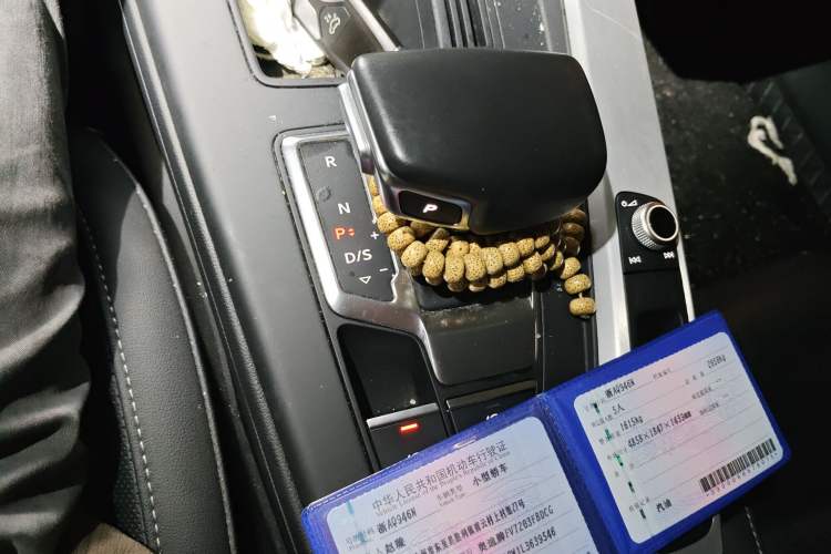Used Audi A4L 2020 40 TFSI Fashion Dynamic Model Gear Lever