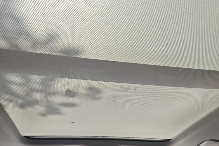Used Audi A4L 2020 40 TFSI Fashion Dynamic Model Headliner