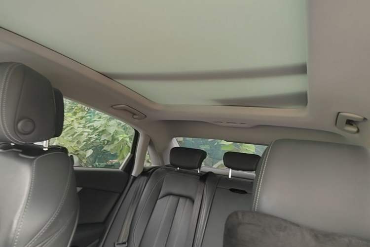 Used Audi A4L 2020 40 TFSI Luxury Dynamic Model Headliner