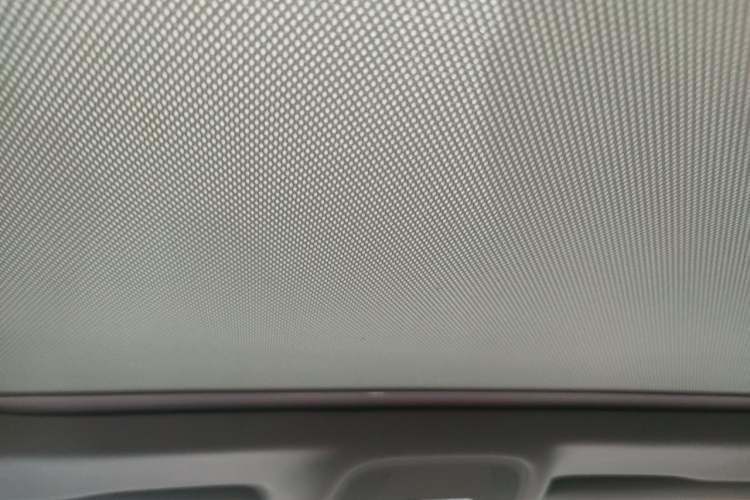 Used Audi A4L 2020 40 TFSI Luxury Dynamic Model Headliner