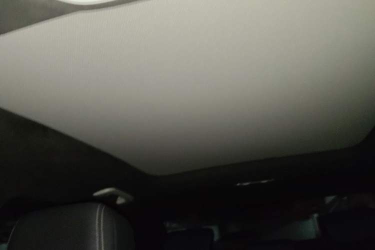 Used Audi A4L 2020 40 TFSI Fashion Dynamic Model Headliner