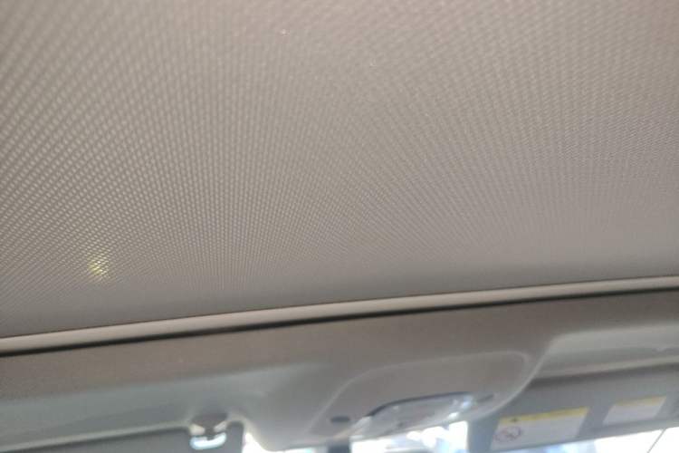 Used Audi A4L 2020 40 TFSI Fashion Dynamic Model Headliner