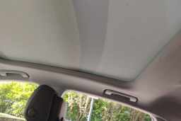 Thumbnail 19