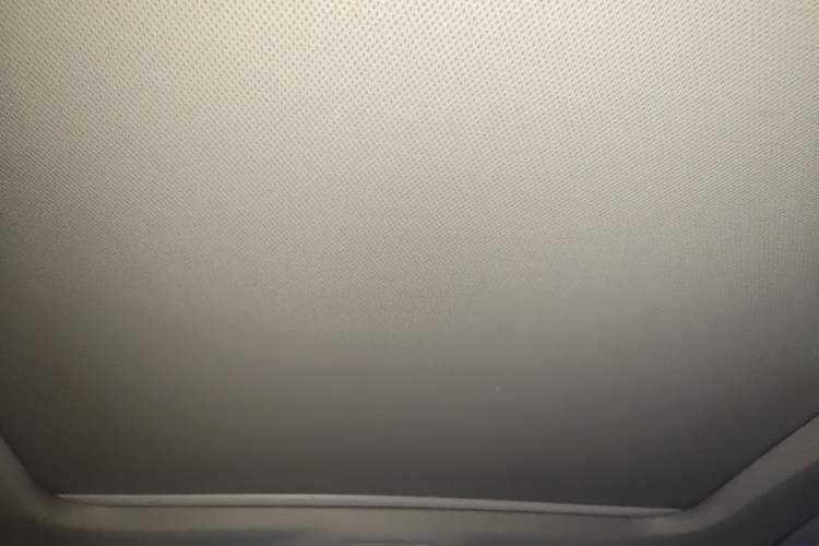 Used Audi A4L 2020 40 TFSI Fashion Dynamic Model Headliner