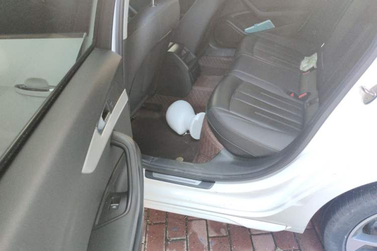 Used Audi A4L 2020 40 TFSI Fashionable and Elegant Model Left Rear Seat