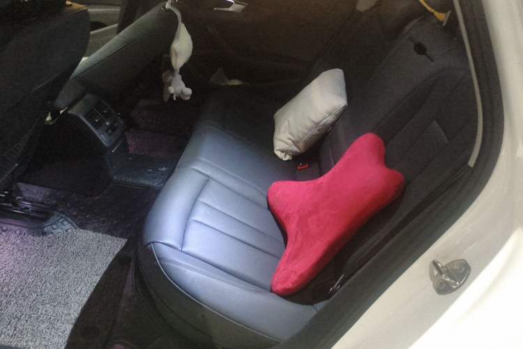 Used Audi A4L 2020 40 TFSI Fashionable and Elegant Model Left Rear Seat