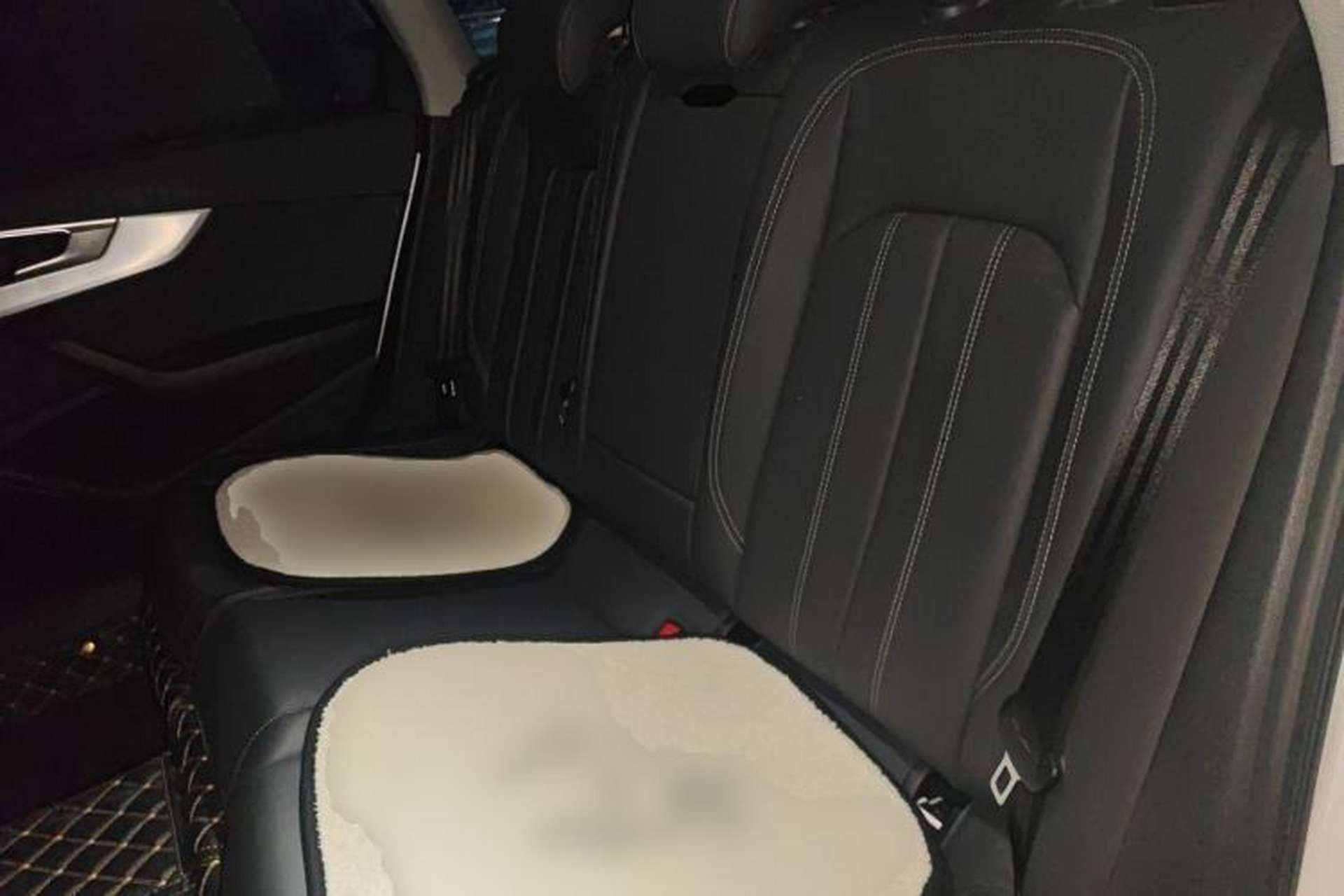 Used Audi A4L 2020 40 TFSI Luxury Dynamic Model Left Rear Seat
