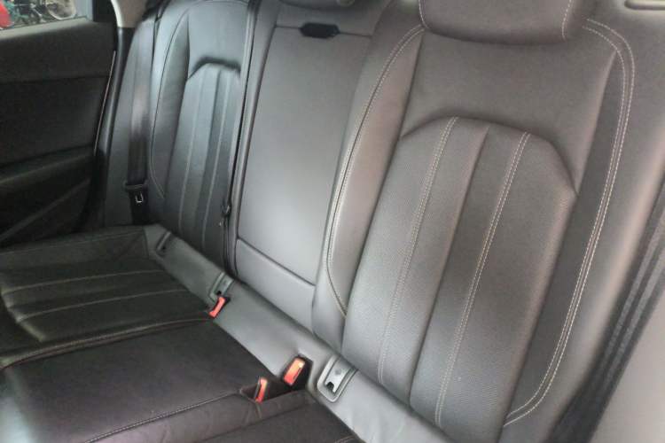 Used Audi A4L 2020 40 TFSI Luxury Dynamic Model Left Rear Seat