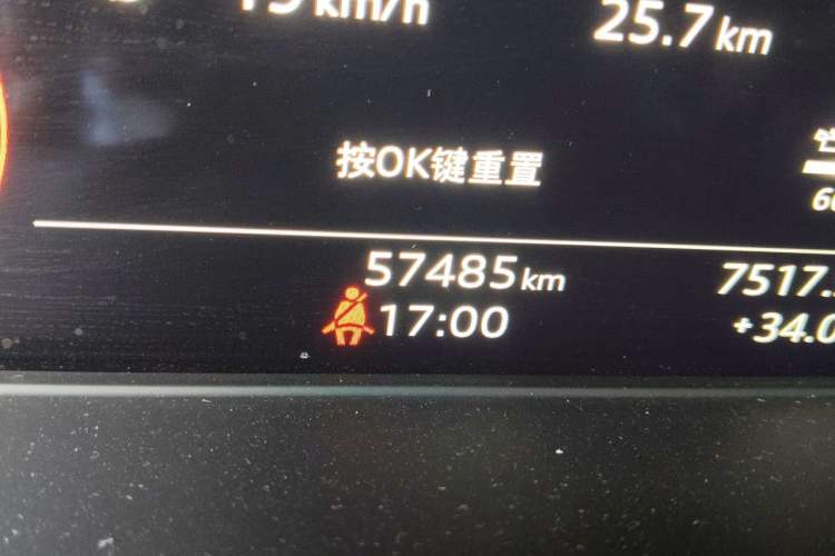 Used Audi A4L 2020 40 TFSI Luxury Prestige Edition Odometer Close Up
