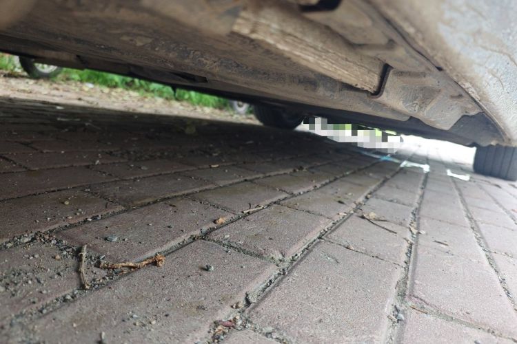 Used Audi A4L 2021 40 TFSI Enjoy Life Edition Chassis Rear Right