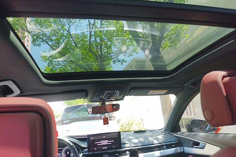Used Audi A4L 2022 40 TFSI Luxury Dynamic Model Headliner