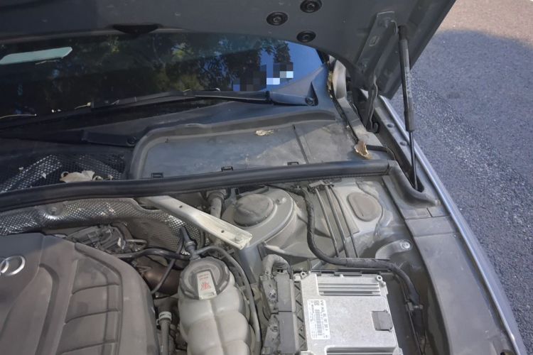 Used Audi A4L 2022 40 TFSI quattro RS Performance Package Engine Bay Left