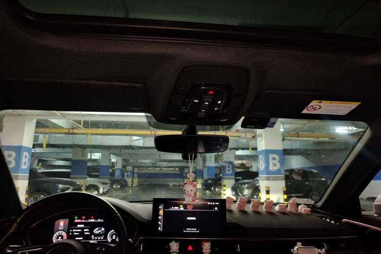 Used Audi A4L 2022 40 TFSI quattro RS Performance Package Headliner