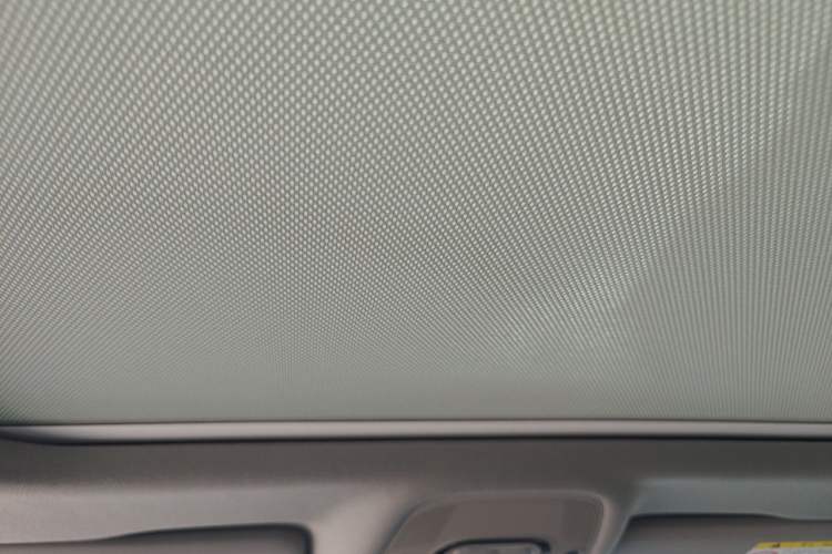 Used Audi A4L 2022 40 TFSI Stylish and Elegant Edition Headliner