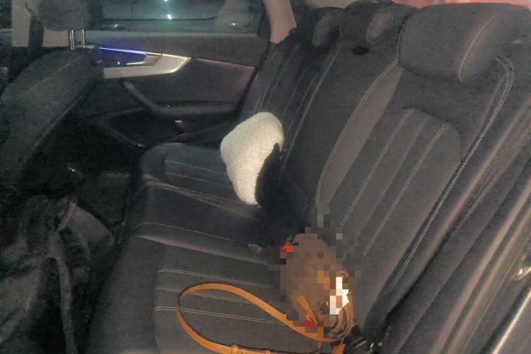 Used Audi A4L 2022 40 TFSI Luxury Dynamic Model Left Rear Seat