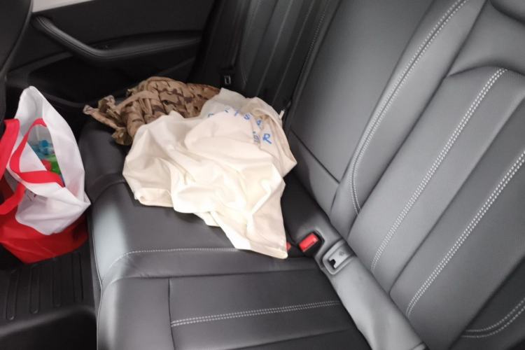 Used Audi A4L 2022 40 TFSI Luxury Dynamic Model Left Rear Seat