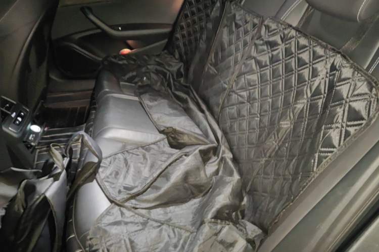 Used Audi A4L 2022 40 TFSI Luxury Dynamic Model Left Rear Seat